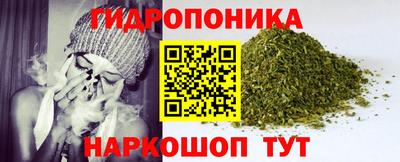 скорость Кимры